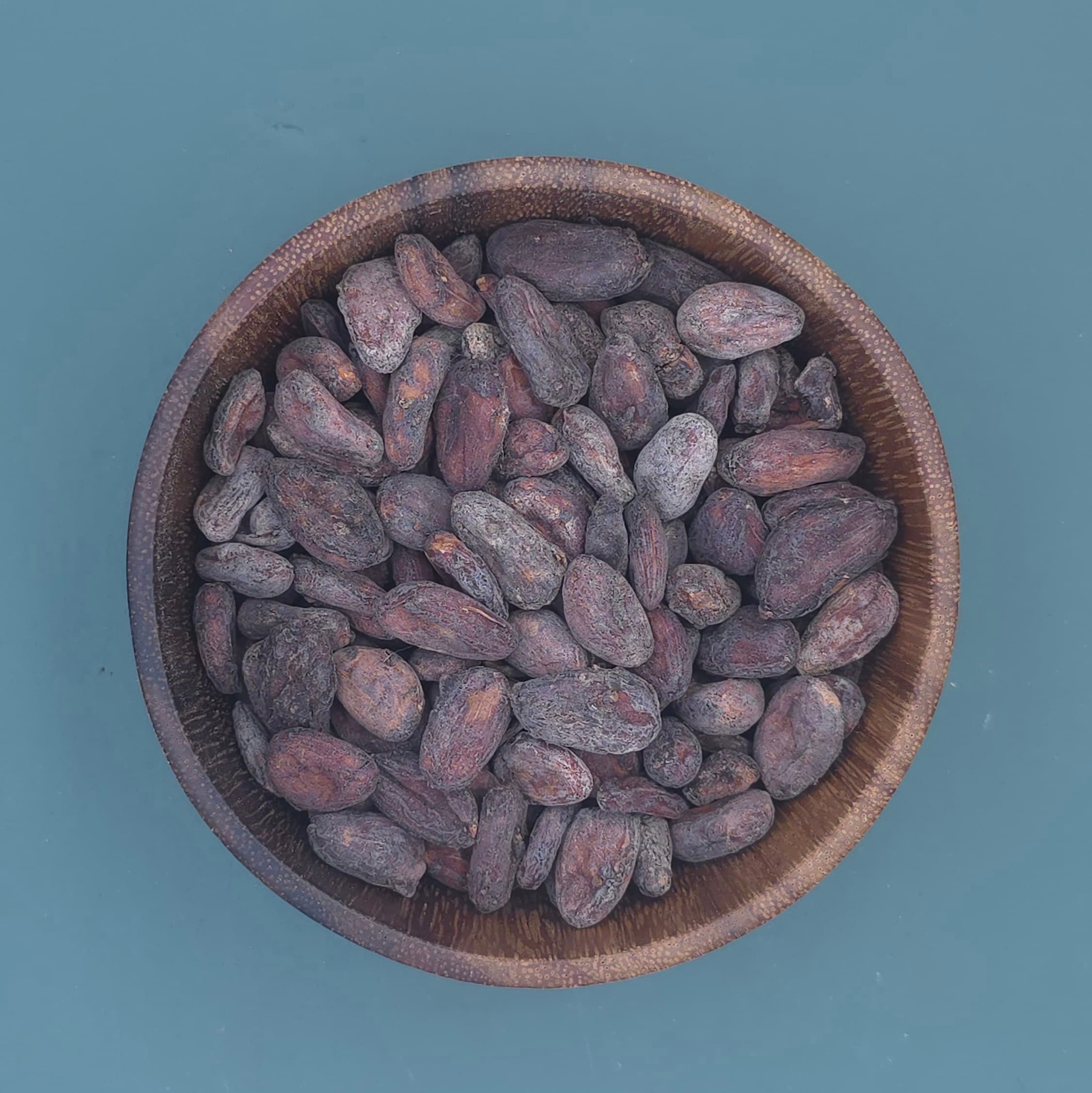 Cacao Beans Criollo